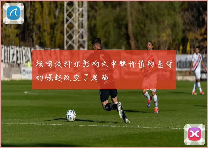杨鸣谈科尔影响大中锋价值约基奇的崛起改变了局面