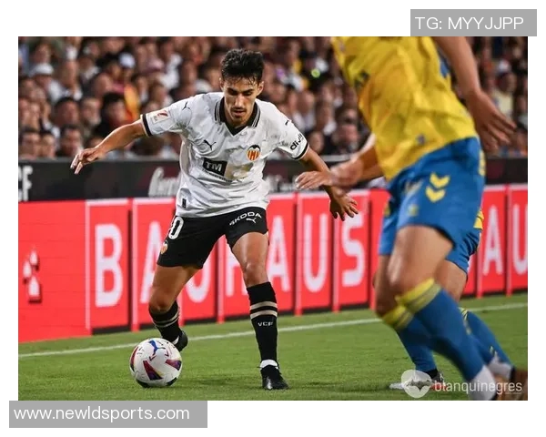 安德烈阿尔梅达频繁更换经纪公司一年内转战三家引发关注